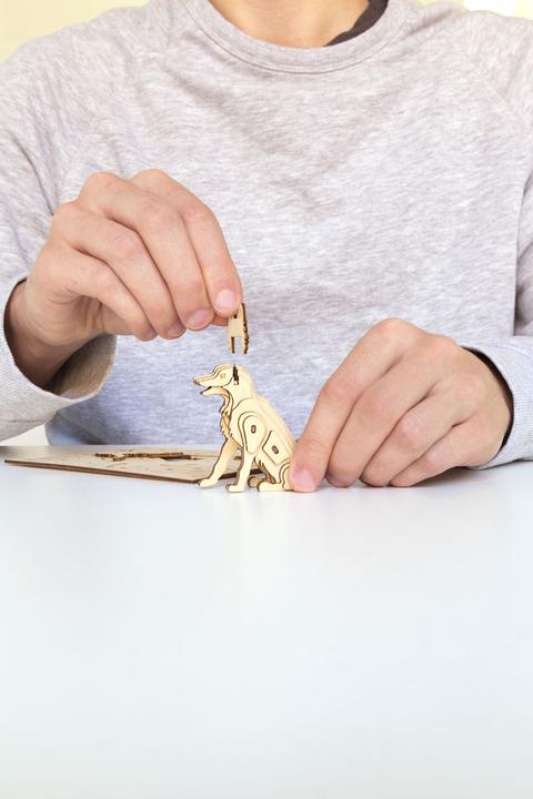 Image du produit Kikkerland Chien (1000 pièces)