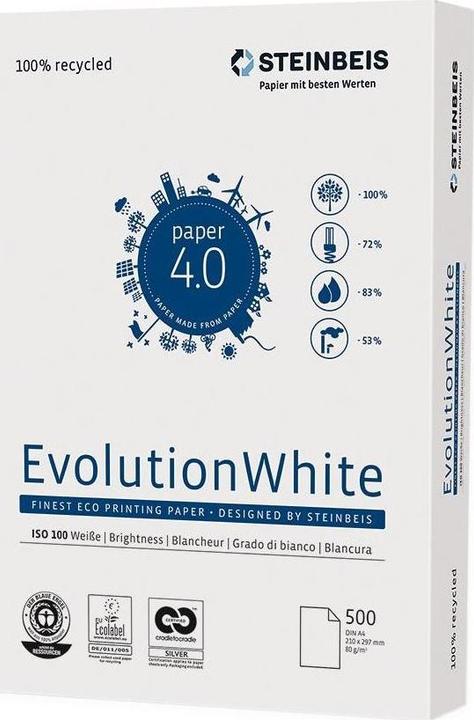 Immagine prodotto Steinbeis evoluzione A3 80gm2 (80 g/m², 500 x, A3)