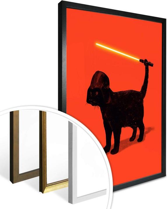 Image du produit Trenddeko Cat Vader (24 x 30 cm)
