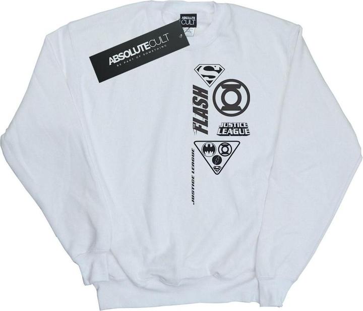 Justice League Chest Icons Sweatshirt Jungen