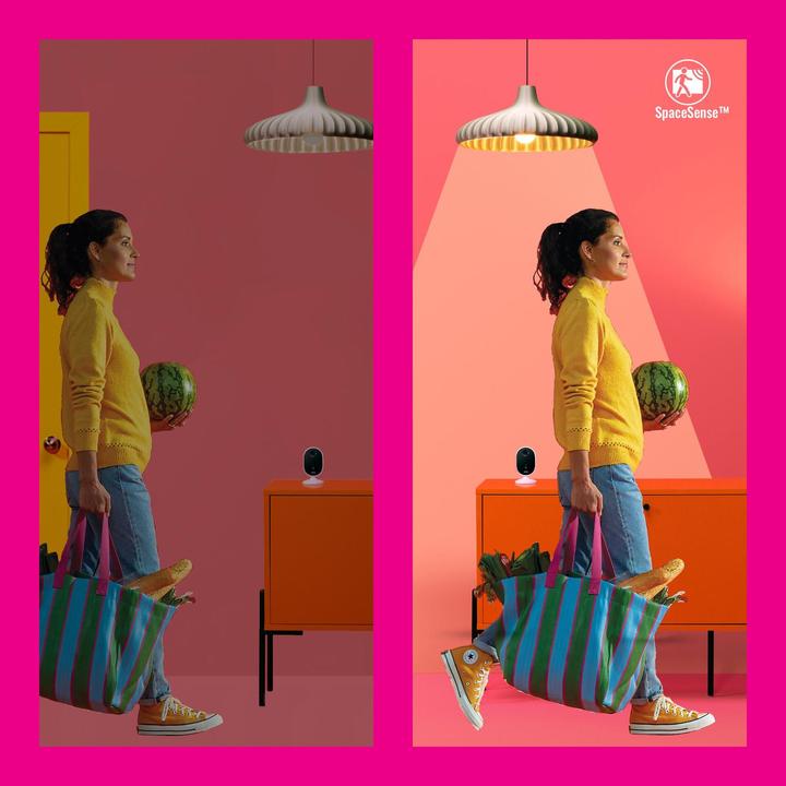 Actual product image WiZ Portrait (600 lm)