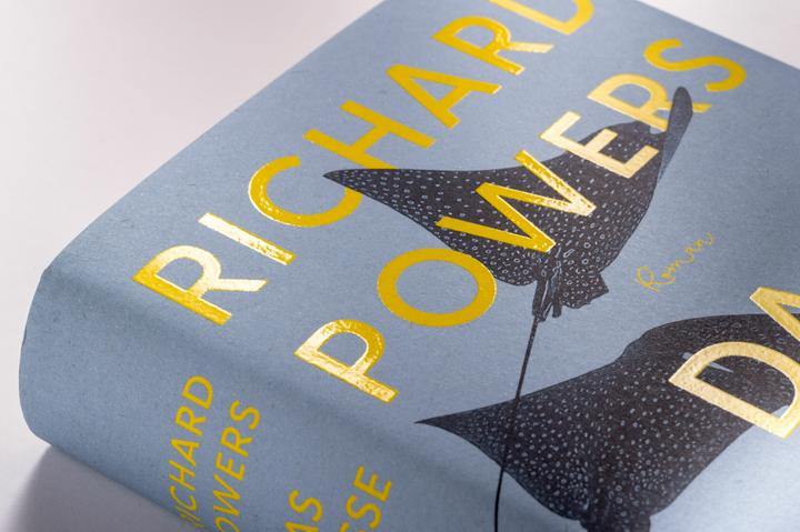 Actual product image Das grosse Spiel (German, Eva Bonné, Richard Powers, 2024)