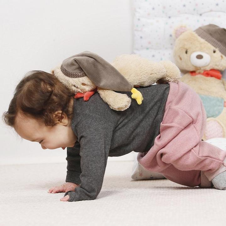 Actual product image Fehn Teddy (25 cm)