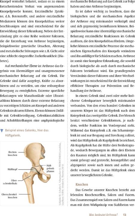 Produktbild Expertenwissen: Arthrose (Deutsch, Prof. Dr. Hanno Steckel, 2024)
