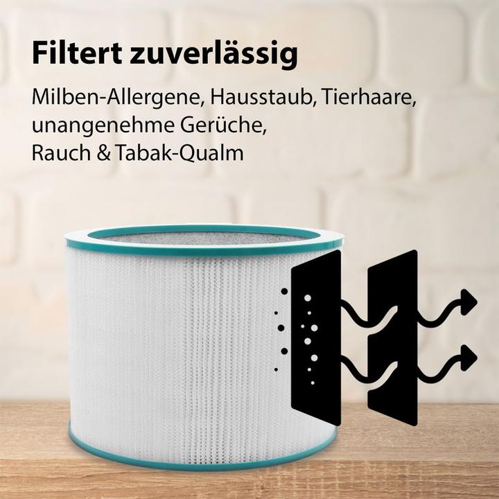 Immagine prodotto Hermex Filtro hepa alternativo Filtro di ricambio per il purificatore d'aria Dyson TP00 TP02 (1 x)