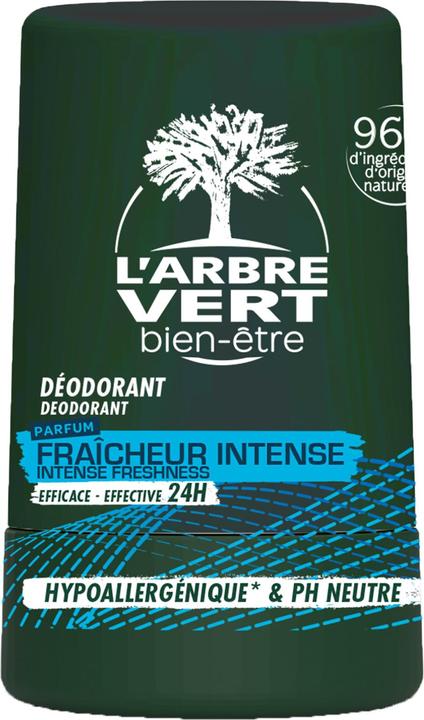 Produktbild L'arbre vert Öko Deodorant Roll Mann Provitamin B5 französisch (Roll-on, 50 ml)
