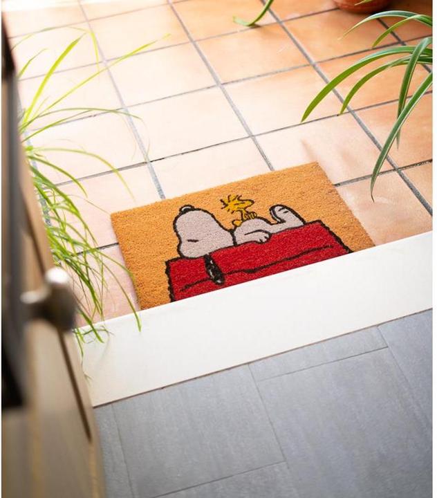 Produktbild Erik Die Peanuts - Schlafen auf dem Dach (60 x 40 cm)