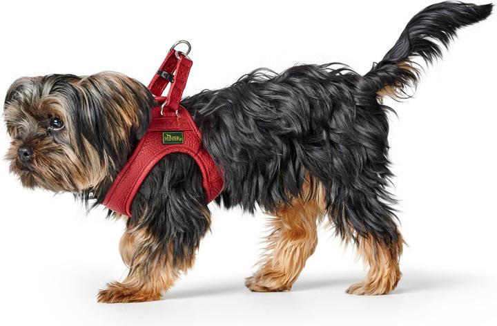 Produktbild Hunter Geschirr Love 37-40/XS-S, Rot/Schwarz, Hundegrösse: S, XS (Hund, Spazieren)