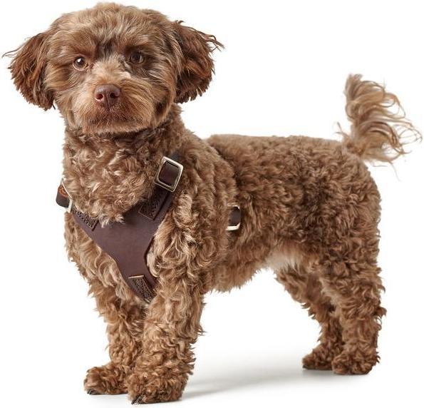 Actual product image Hunter Tableware Aalborg (M, L, Dog, General)