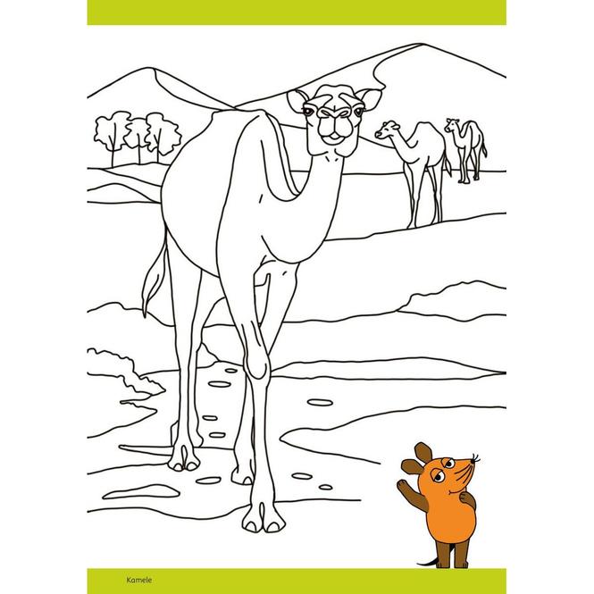 Produktbild Die Maus - Malblock mit Sachwissen Natur und Tiere (Deutsch, pen2nature, 2024)