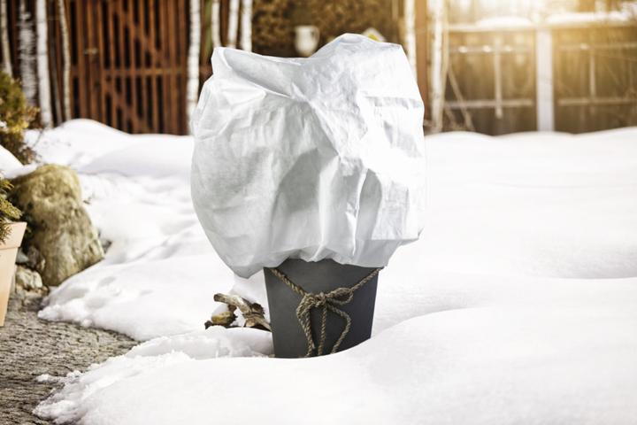 Produktbild Windhager Winter-Vlieshaube