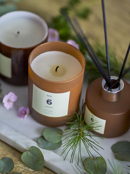 Produktbild Illume x Bloomingville NO. 6 - Sequoia (100 ml)