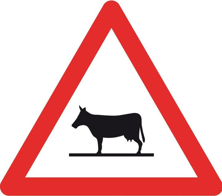 Immagine prodotto Moravia Segnale di pericolo 1.25, R1, animali