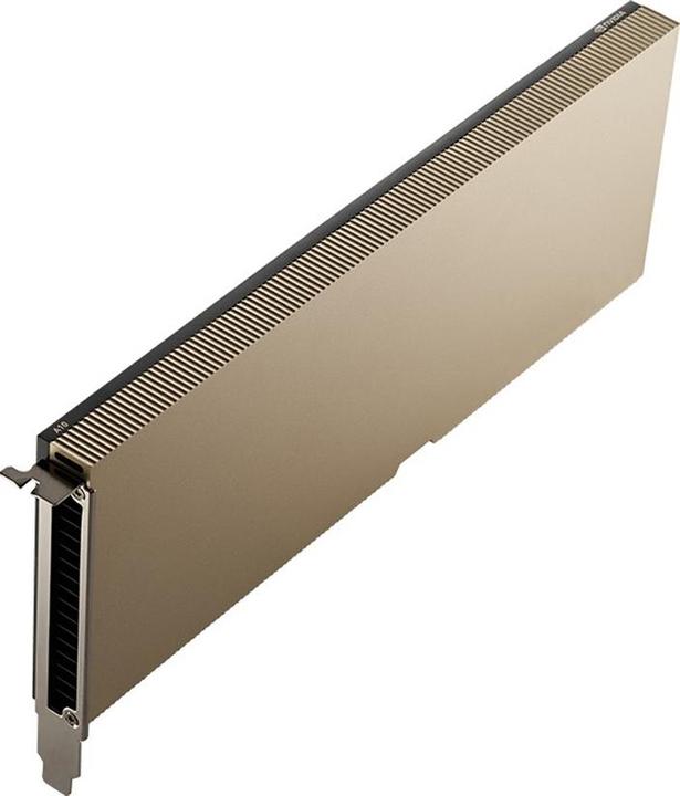 Actual product image PNY NVIDIA A10 MODULE 24GB (24 GB)