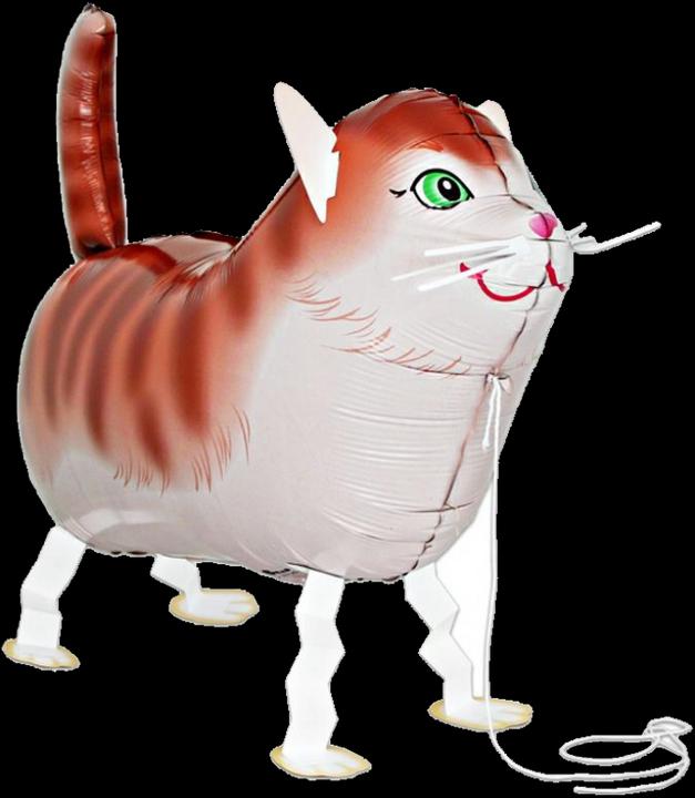 Image du produit Grabo Mini-Walker chat rouge 61 cm de long (1 x)