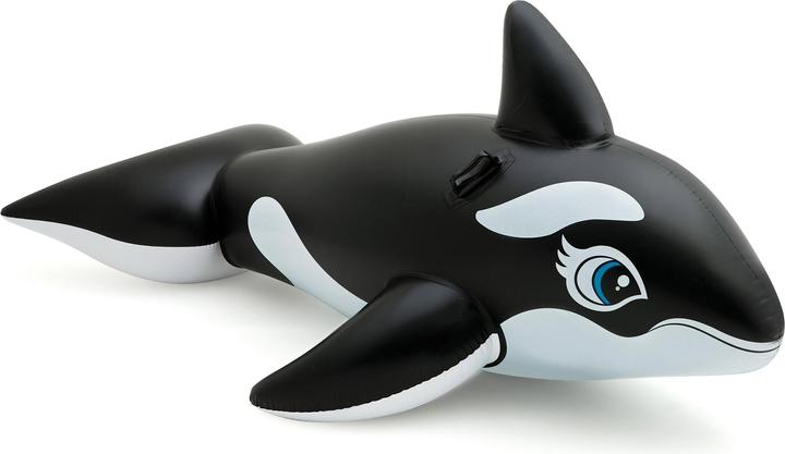 Intex Whale