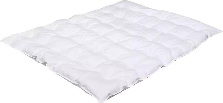 Actual product image Träumeland Duvet Down Dream (80 x 80 cm)