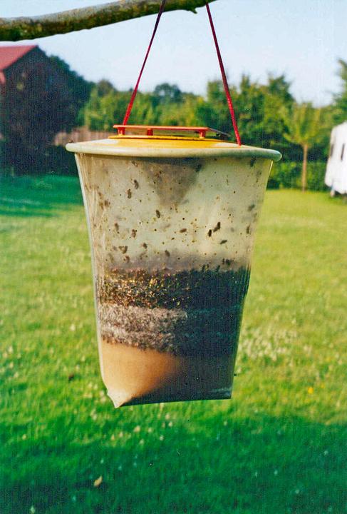 Actual product image Redtop Fly trap L disposable 3 l