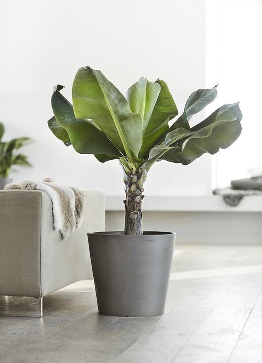 Produktbild Ecopots Amsterdam (40 cm)