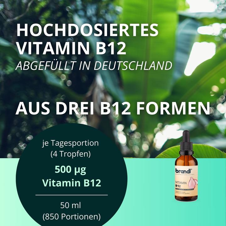 Actual product image Brandl Omega 3 + D3 K2 (1 Piece, Capsules, 180 g)