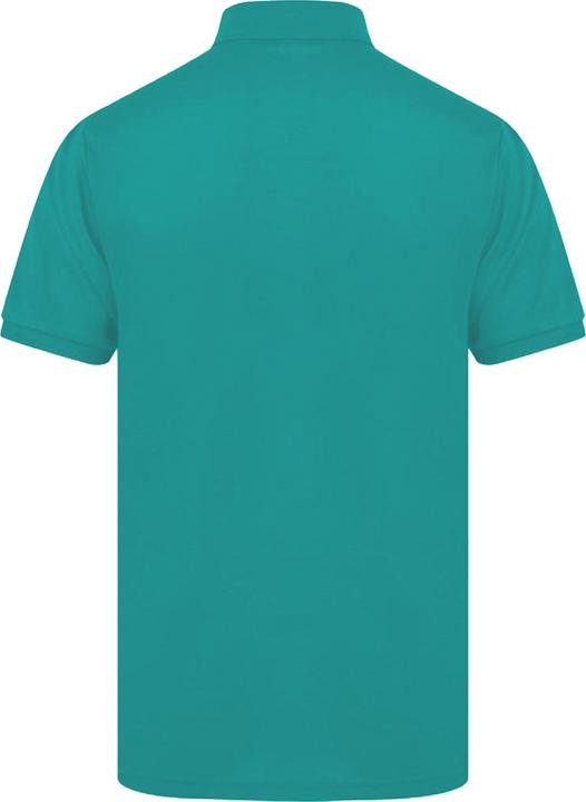 Image du produit Henbury Polo à manches courtes (L)
