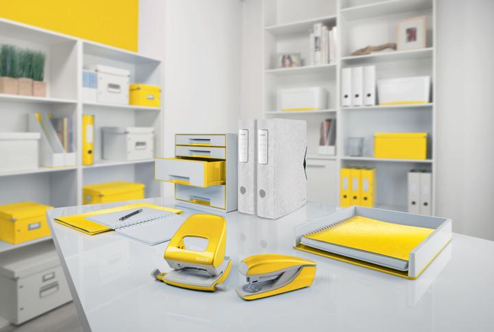 Produktbild Leitz WOW Click & Store Ablagebox (A5)