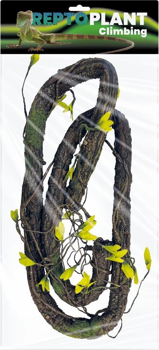 Actual product image Repto Plant Rainforest Plant Climbing
