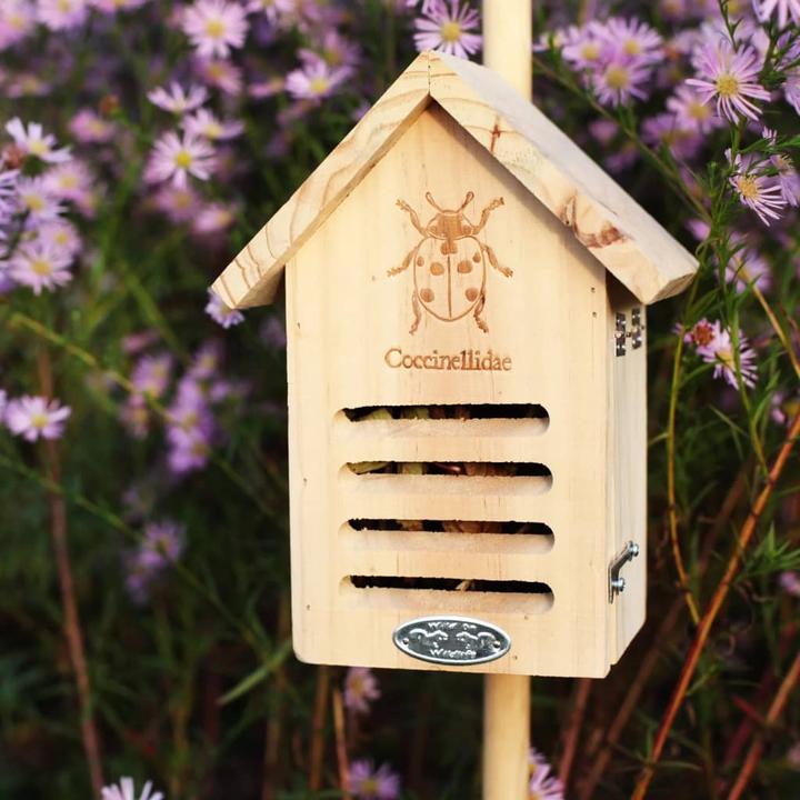 Actual product image Esschert Design Ladybird house with silhouette (Ladybirds)
