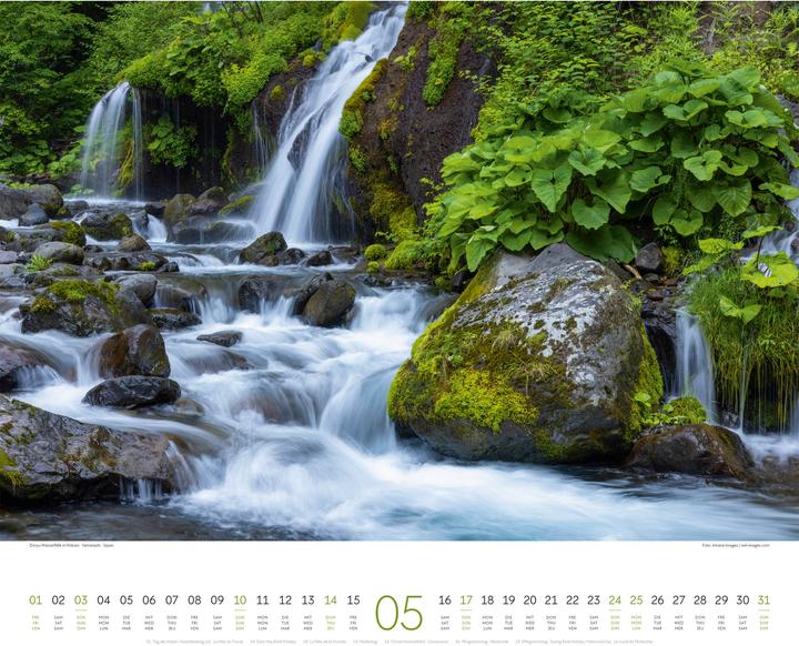 Actual product image Wald Kalender 2026 (54 x 48 cm, Hardcover, German, French, English)