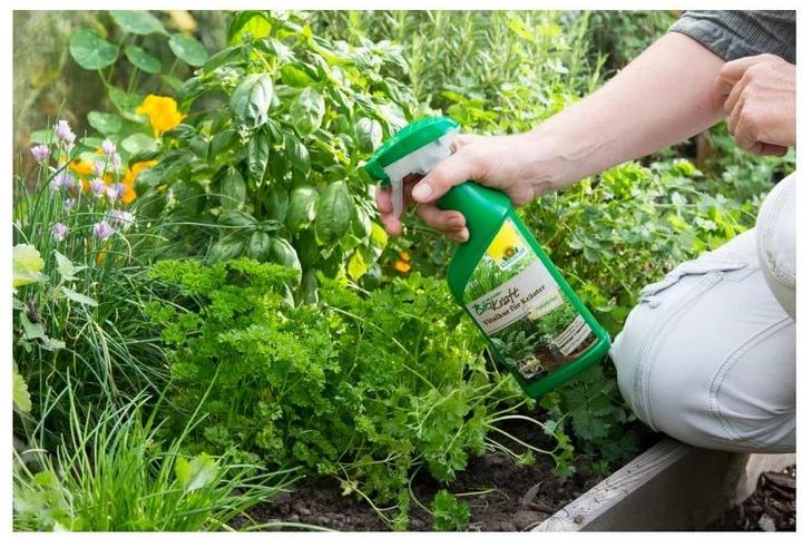 Produktbild Neudorff BioKraft Vitalkur für Kräuter (0.56 kg, 0.50 l)
