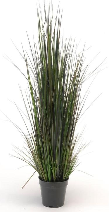 Immagine prodotto Emerald Flussgras (103 cm)