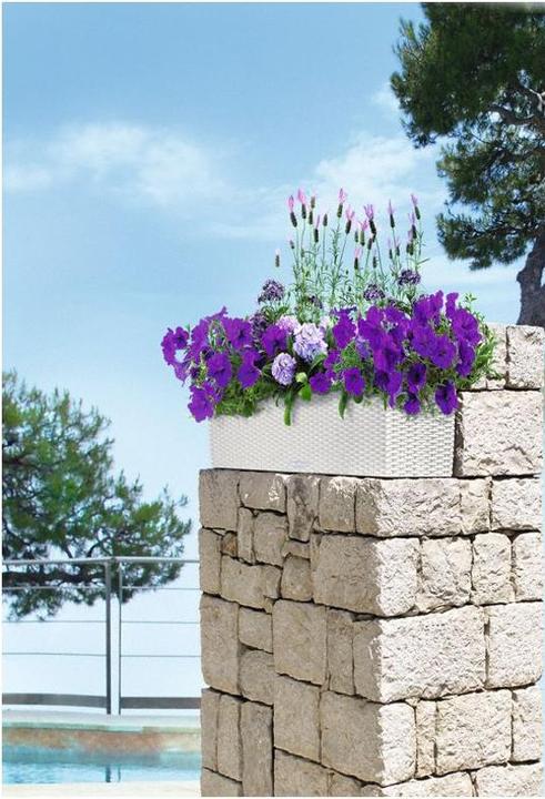 Immagine prodotto Lechuza Balconera Cottage (19 cm)