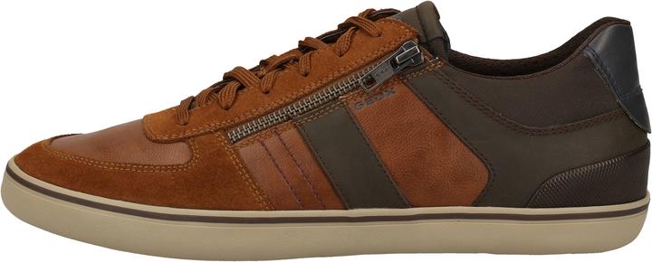 Actual product image Geox Sneaker (41)