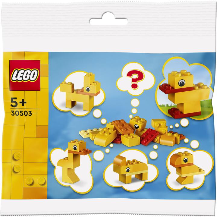 Actual product image LEGO Free building: Animals - You decide! (30503, LEGO Iconic)