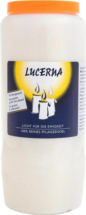 Actual product image Herzog Kerzen Grave candle Lucerna Weiss (1 pcs.)
