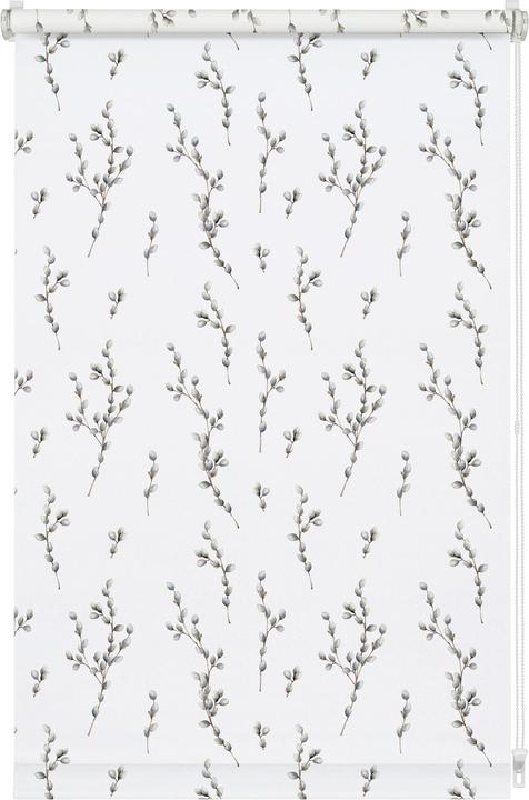 Immagine prodotto Gardinia Tenda a rullo EASYFIX Digiprint willow catkin (90 x 150 cm)