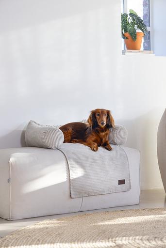 Produktbild Designed by Lotte Ribbed (Hund)