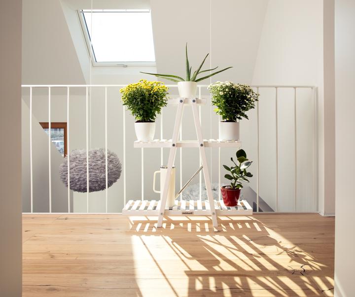 Produktbild Needs&Wants Blumenregal "Bloomy1" mit 3 Etagen, Fichte (weiss)