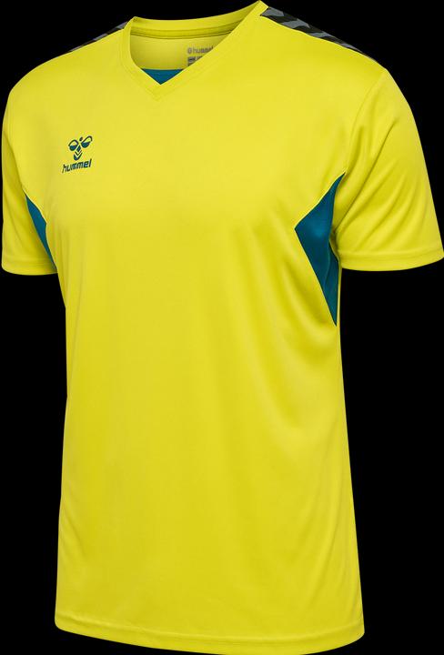 Actual product image hummel Hmlauthentic Pl Jersey S/S (M)