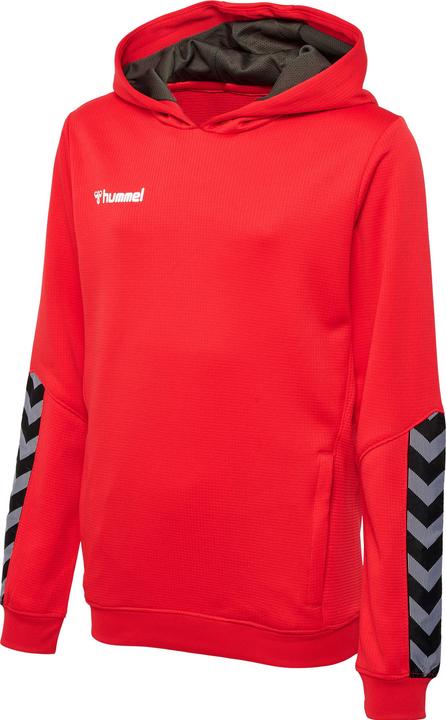 hummel Authentic Kids Poly Hoodie