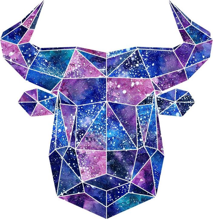 Produktbild Trenddeko Polygon Galaxie Stierkopf (29 x 30 cm)
