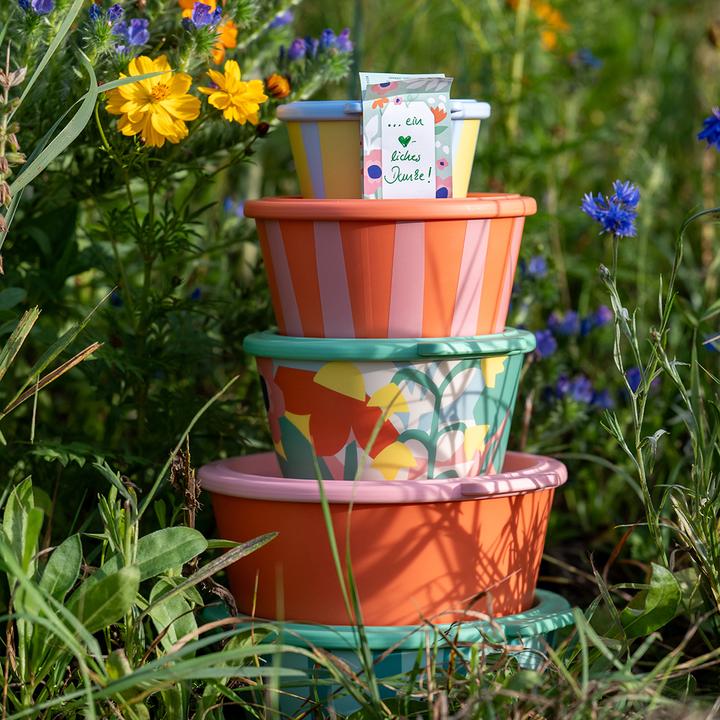 Productafbeelding Koziol Schaal Nora Box 18,8 cm, 1 stuk, Sweet Green/Strong Blue (18.80 cm, 1.30 l, 1 x)