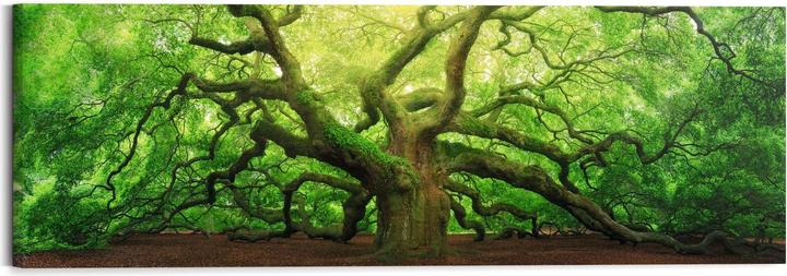 Produktbild Reinders Old Oak (40 x 118 cm)