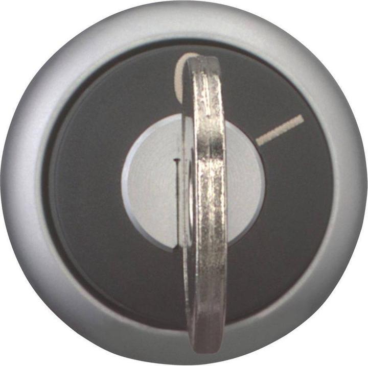 Produktbild Eaton Electric GmbH Schlüsseltaste 2 Stellungen rast. M22-WRS-MS8