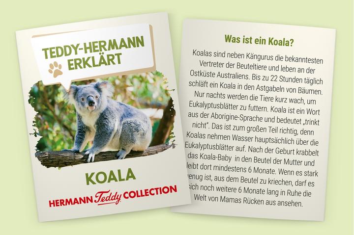 Produktbild Teddy Hermann Koalabär (21 cm)