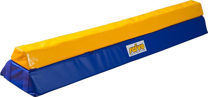 Reivo Rinogym balance beam