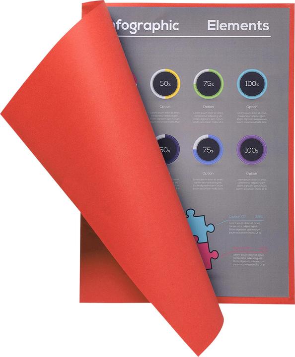 Immagine prodotto Exacompta Sammelmappen (A4, 100 x)