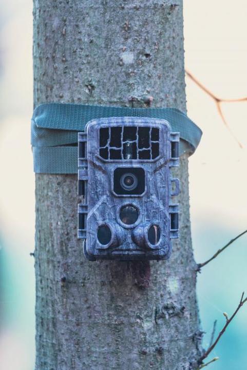 Actual product image Braun Photo Scouting Cam Black400 WiFi 4K
