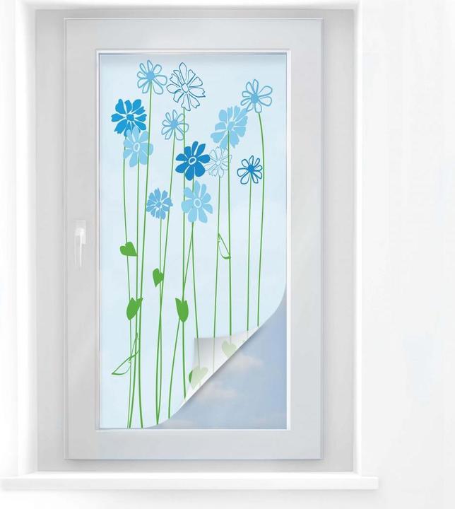Window films