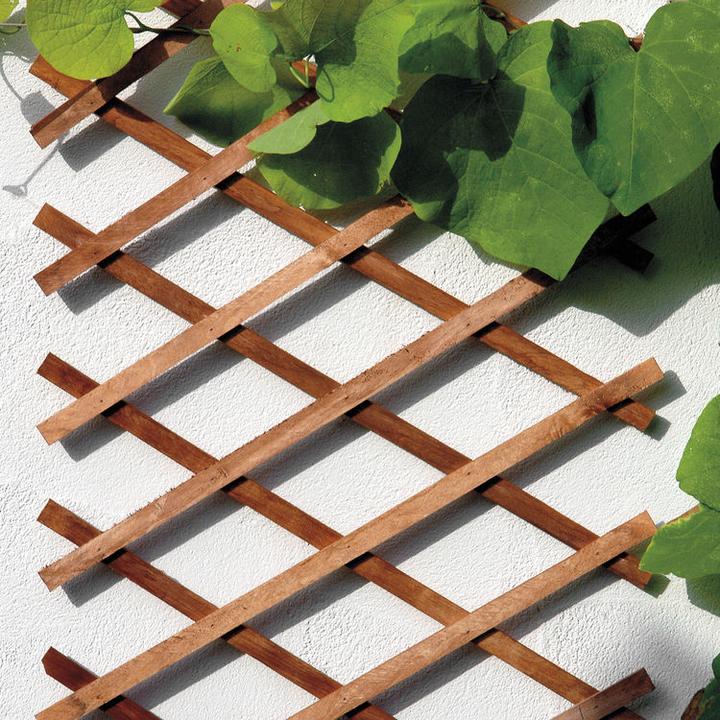 Produktbild Bellissa Holz-Scherenspalier